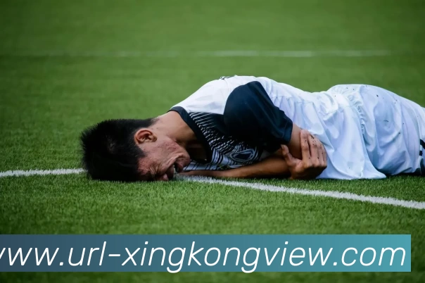 星空体育APP 封面图